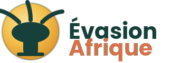Guides et Conseils pour Voyager en Afrique